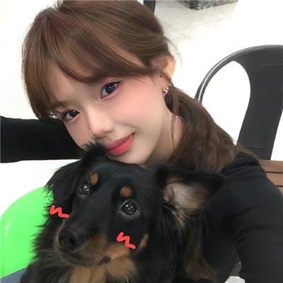 小鸟总动员